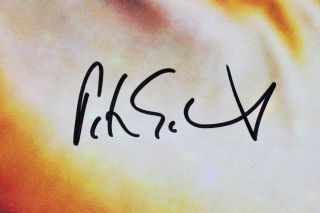 Peter Gabriel Authentic Signed Shock The Monkey Album Cover W/ Vinyl PSA S88143 2