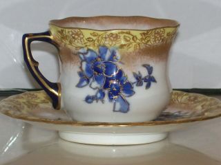 Doulton Burslem Antique Demitasse Cup & Saucer.  Cobalt Blue Floral On White Wow