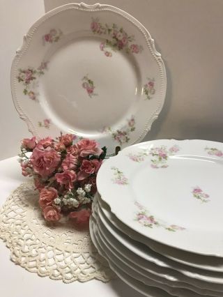Set Of 7 Antique Vintage Coronet Limoge Dinner Plates Tea Roses On White France