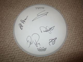 Toto Signed/autographed Drum Head - All 5 Members