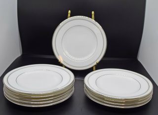 Waterford Padova Fine China - Set Of 10 Bread & Butter Plates - 6 "