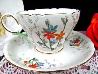 Shelley Tea Cup And Saucer Floral Painted Wildflowers Poppy Design Teacup D213
