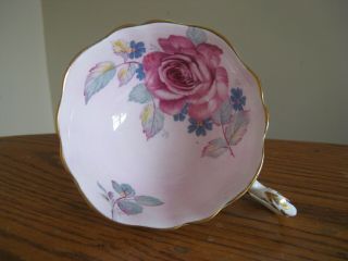 Paragon England Double Warrant Pink Background Pink Rose Footed Cup Only