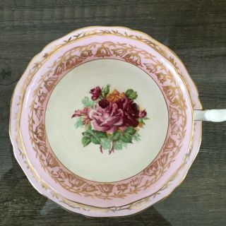 Pretty In Pink Adderley Large Cabbage Roses Gold China Teacup And Saucer