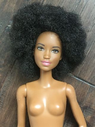 Aa Barbie Doll With Afro African American Black Fashionista Mattel