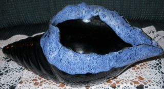 Vintage Anna Van Briggle Black Blue White Drip Triton Seashell Vase Planter