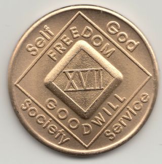 17 Years Xvii - Narcotics Anonymous Recovery Medal Token Chip Coin