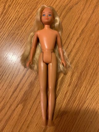 Sun Gold Skipper Barbie Doll Bend Legs TNT 2