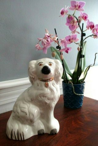 Antique Staffordshire Porcelain White W/ Black Nose Spaniel Dog 8  Height