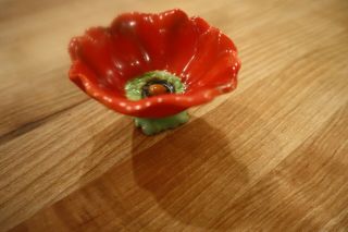 Antique Royal Bayreuth Red Orange Figural Poppy Bowl Nut Bowl - Unmarked