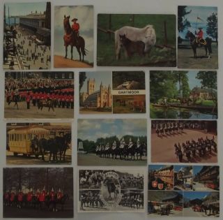 World Wide 13 Old Postcards Horses Mos Of Them Sent To Israel
