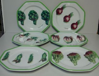 Williams Sonoma Vegetable Garden Salad Dessert Plates Set Of Six