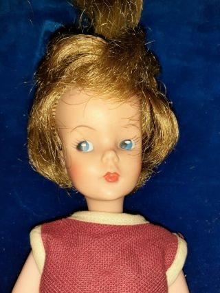 1963 Eegee Shelley Clone Grow Hair Tammy Clone 12 Inches.  Marked