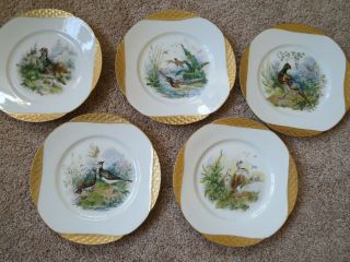 Antique Set Of 5 Haviland & Co For Gilman Collamore Game Birds Gold 9 " Plate