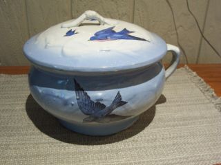 Vintage Bluebird China Brush Mccoy Pottery Chamber Pot & Lid Blue Bird Stoneware