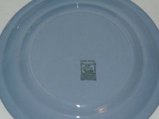 VINTAGE GRINDLEY ENGLAND POTTERY DINNER PLATE SET LUPIN PETAL TURQUOISE BLUE 3
