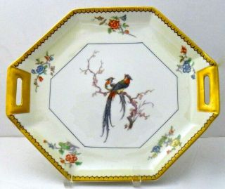 Theodore Haviland Eden Bird Of Paradise Cake Plate 11 Inch,  Limoges France,  Fine
