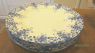 Five Royal Albert Dainty Blue Dinner Plates 10.  5 " Diameter