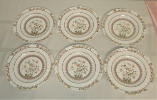 Set Of 6 Spode Salad/luncheon Plates - Buttercup Pattern - 8.  75 "