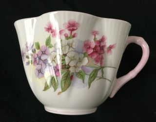Shelley Dainty STOCKS Teacup and Saucer - PERFECT 3