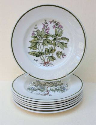 Set Of 7 Tiffany & Co.  " Herbs " Johnson Bros.  7 7/8 " Salad Plates Made In England