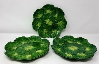 Set Of 3 Vintage Bassano Italy Pottery Majolica Lettuce Cabbage 9 " Plates