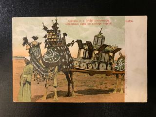Egypt Stamps Lot - Camels Bridal Procession Postal Card 1907 To France - Eg499