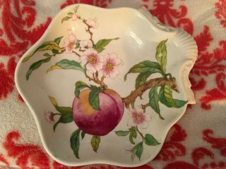 8 1/4 " Mottahedeh Peach Flowers Shell Dish Vista Alegre Va