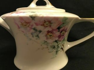 Antique Cacilie,  - Bavaria,  Art Deco,  Hand Painted Teapot With Wild Roses