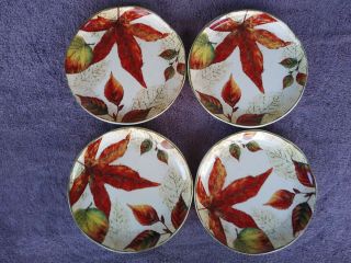 Pier 1 Asheville Salads Plates Fall Leaves Thanksgiving 8.  75 " Set Of 4