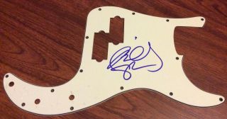 Billy Sheehan Signed Bass Guitar Pickguard Sons Of Apollo Mr.  Big Winery Dogs