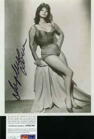 Sophia Loren Psa Dna Cert Hand Signed 8x10 Photo Authentic Autograph