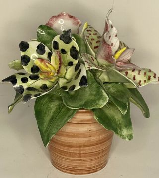 Vintage Italian Capodimonte Spotted Lily Plant Floral Pot Jilly Walsh Mariposa