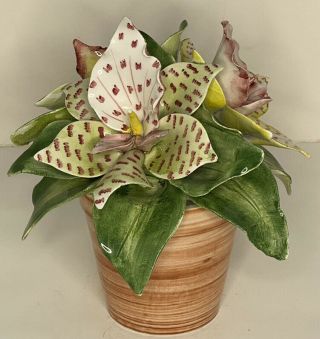 Vintage Italian Capodimonte Spotted Lily Plant Floral Pot Jilly Walsh Mariposa 3