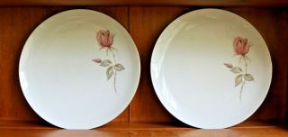 5 Vintage Johann Haviland Germany Dinner Plates Summer Rose 10.  25 " Perfect