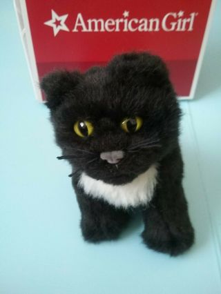 American Girl Doll Caroline Black Cat Inkpot Box Kitten Pet Felicity