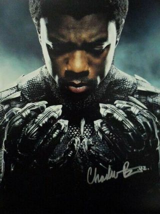Chadwick Boseman Signed 8x10 Photo Picture Autographed Pic " Hero/panther "