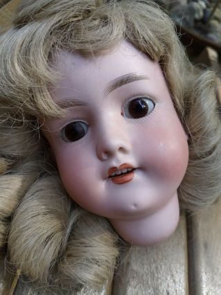 Antique Bisque Doll Head Am 390