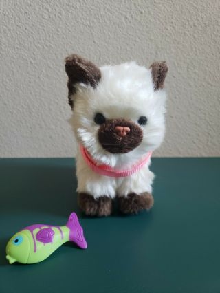 American Girl Doll Pet Himalayan Kitten Plush Toy Cream & Brown for 18 