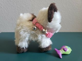 American Girl Doll Pet Himalayan Kitten Plush Toy Cream & Brown for 18 