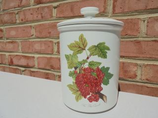 Portmeirion Pomona Red Currant Covered Cookie Jar Or Canister Ceramic Lid