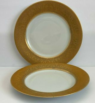 Vintage Bavaria Thomas Wide Gold Encrusted Band Dinner Plates Set Of 2