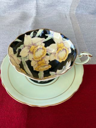 Vintage Paragon Teacup & Saucer Large Daffodils Green And Black