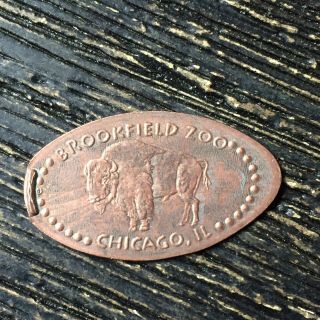 Brookfield Zoo Chicago Buffalo Smashed Pressed Elongated Penny P5566