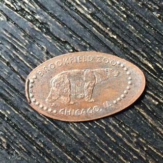 Brookfield Zoo Polar Bear Smashed Pressed Elongated Penny P4654