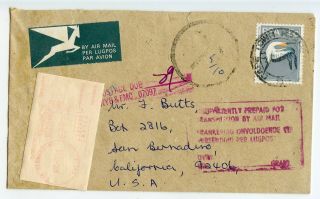 South Africa Bird Cover 5c,  Cape Gannet,  Postage Due 1976 (cx414)