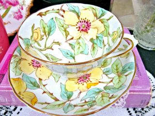 Tuscan Tea Cup And Saucer Painted Chintz Floral Dogwood Pattern Teacup 1940s