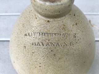 Antique A.  O.  WHITTEMORE HAVANA NY SALT GLAZE STONEWARE BEE HIVE JUG 1800 ' S 2