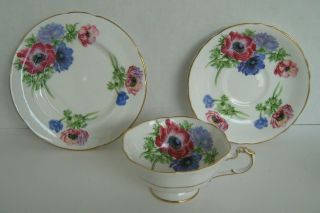 Paragon China Trio - Cup,  Saucer & Plate
