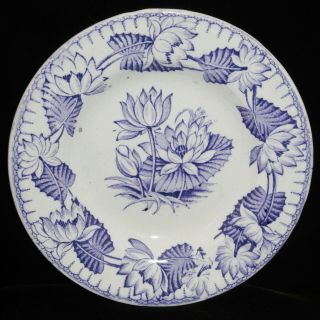 Staffordshire Childs Purple Mulberry Toy Plate Nymph Water Lily 1865 H&w Lotus